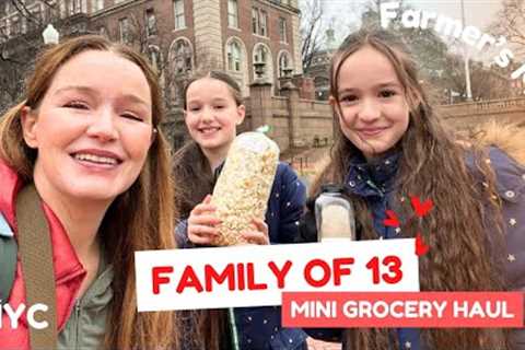 Family of 13 ❤️ Mini Grocery Haul 🍏🍆 Farmer''s Market (NYC)