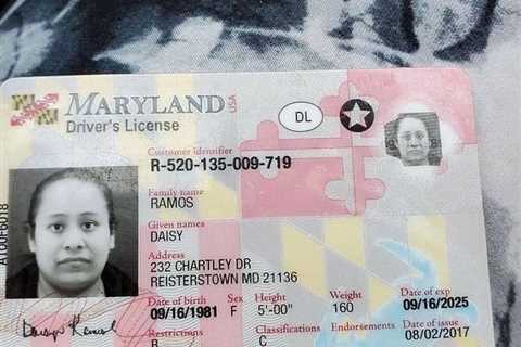 buy registered drivers license online, Whatsapp  :+1(302)-266-1196  Buy Fake USD $, Buy fake..