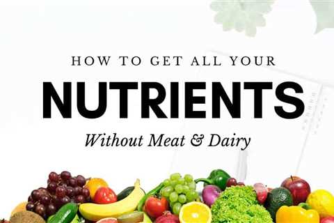 Vegan Nutrition 101: How to Get All Your Nutrients On a Plant-Based Diet
