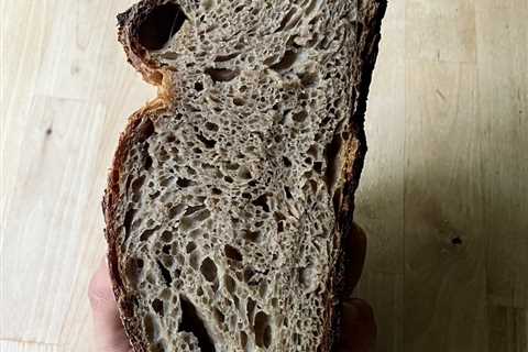 100% Whole Wheat sourdough, even crumb?