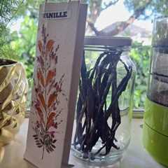 What to do with lots of vanilla pods?