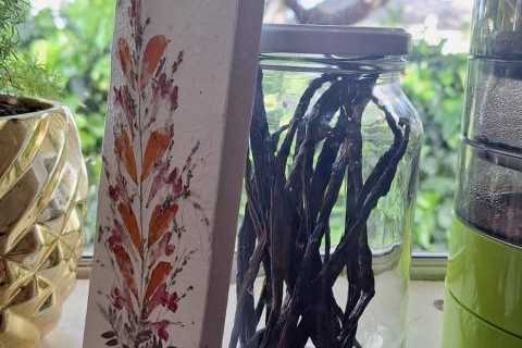 What to do with lots of vanilla pods?